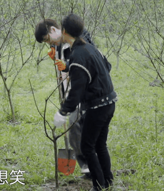 張藝興