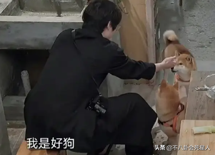 張藝興
