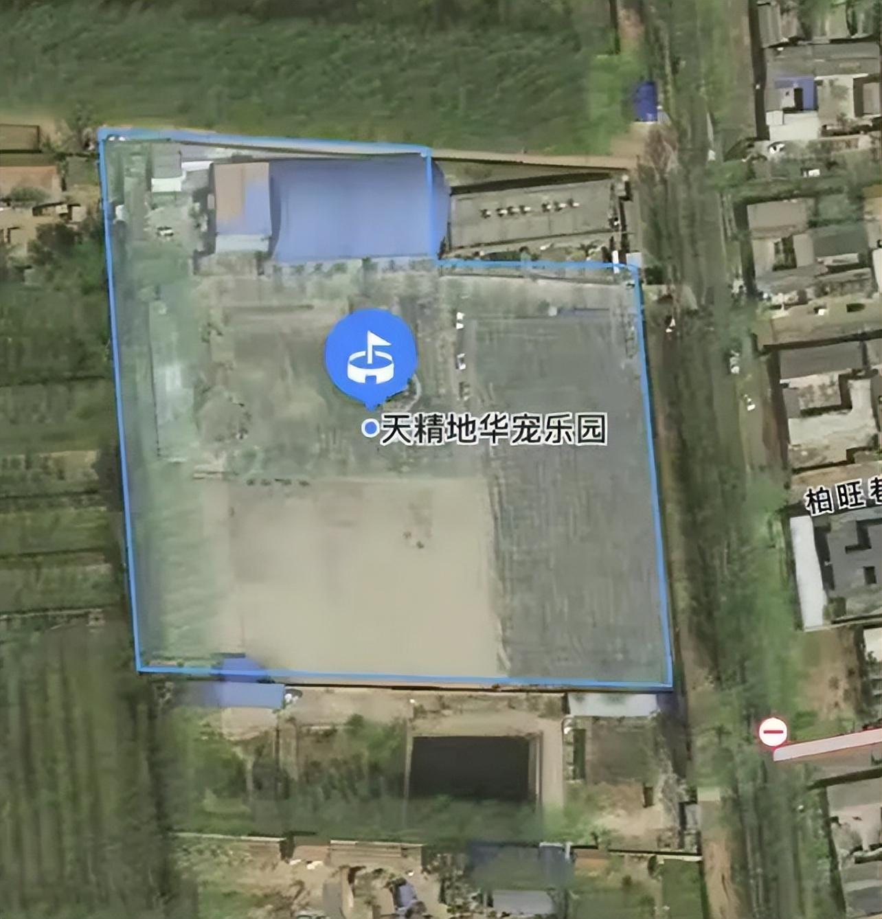 岳雲鵬