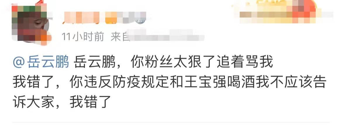 岳雲鵬