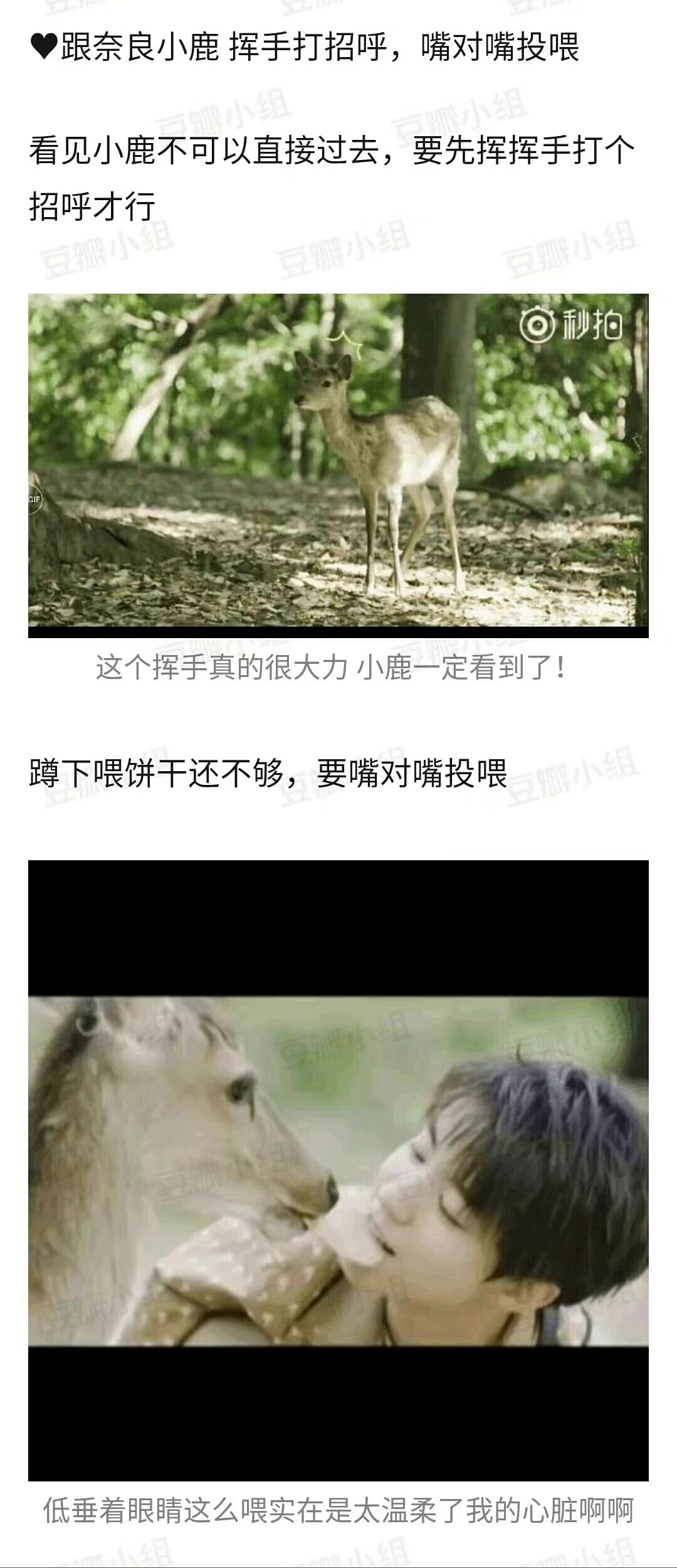 王俊凱