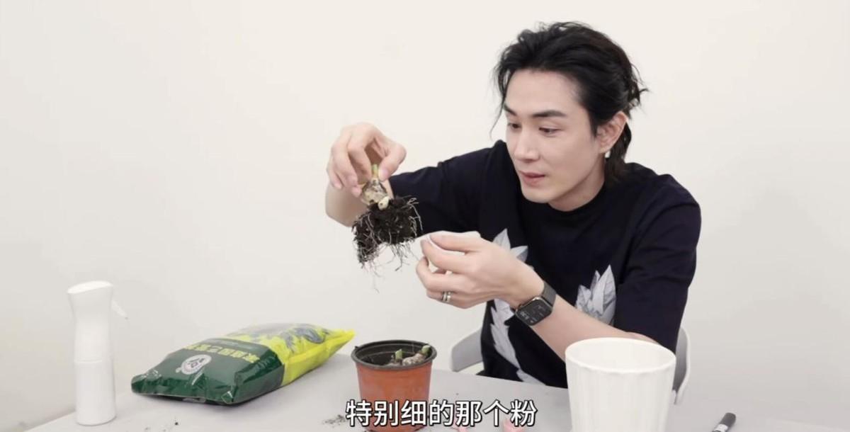 戚薇