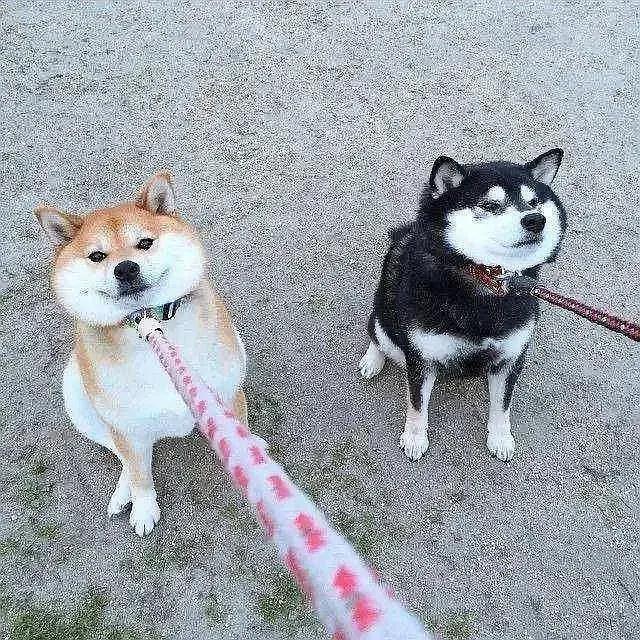 王俊凱