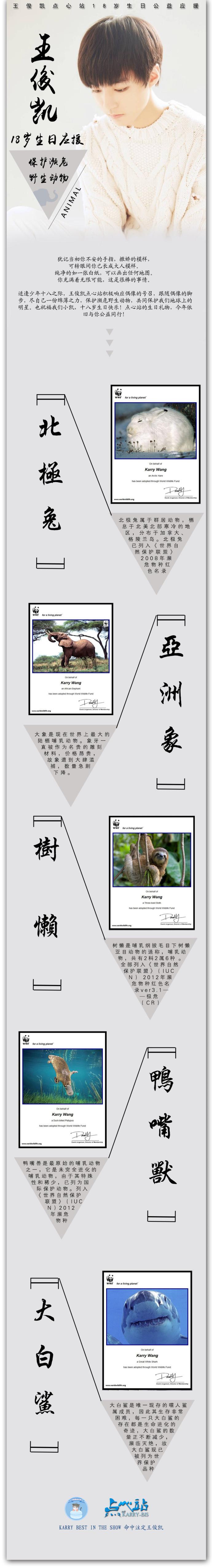 王俊凱