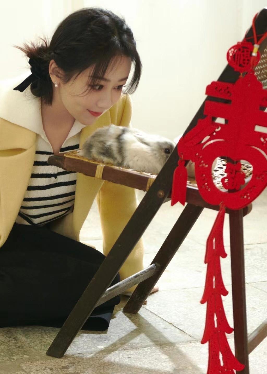 楊紫