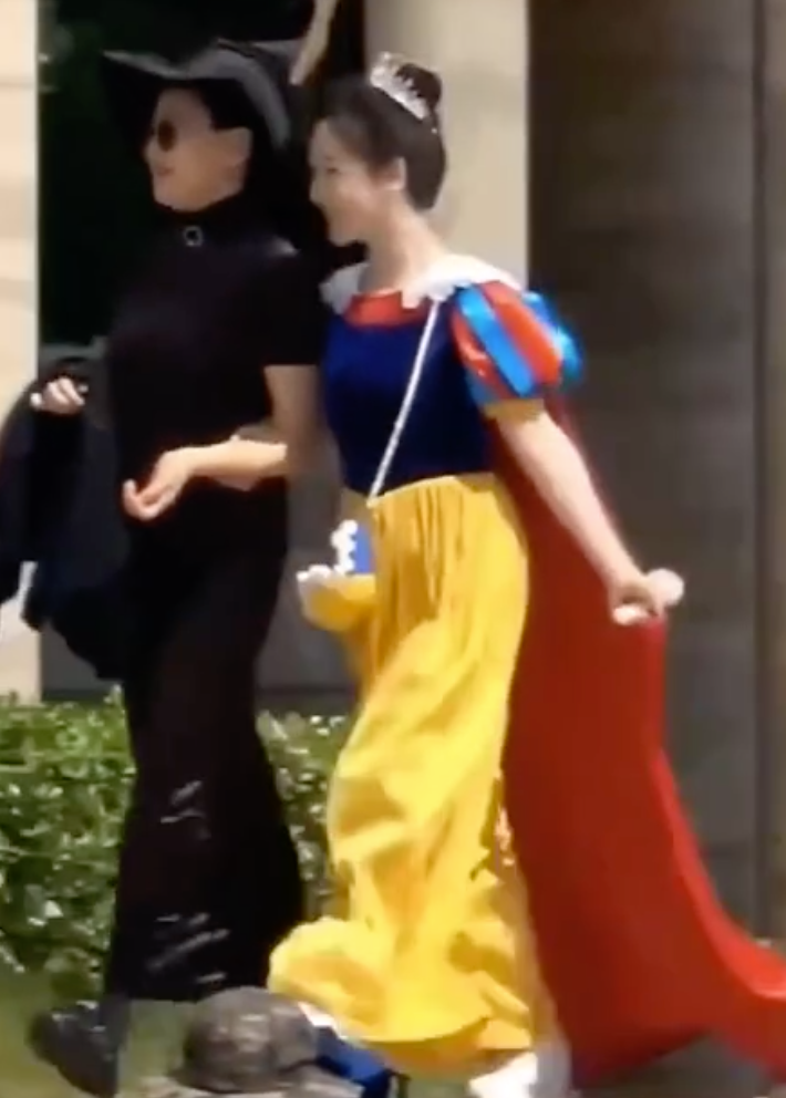 楊紫
