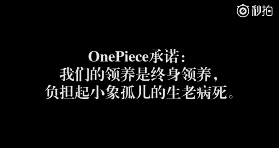 王俊凱