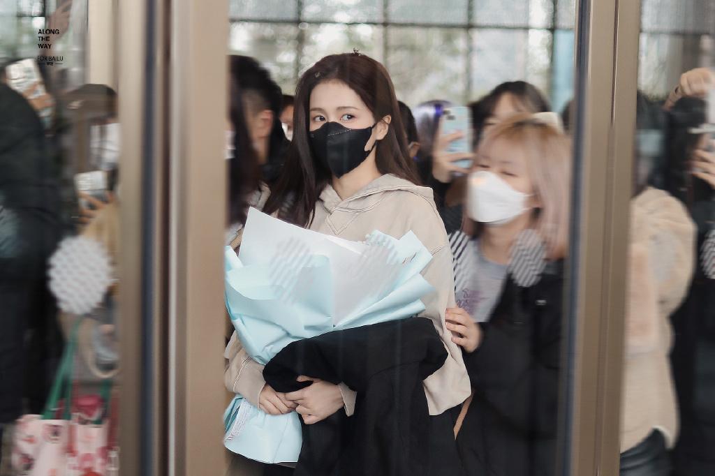 白鹿