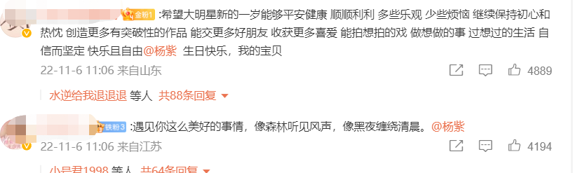 楊紫