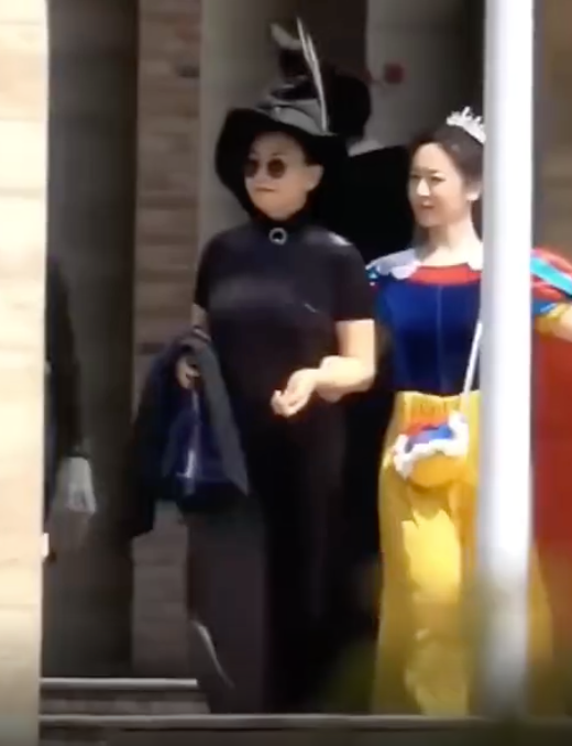 楊紫
