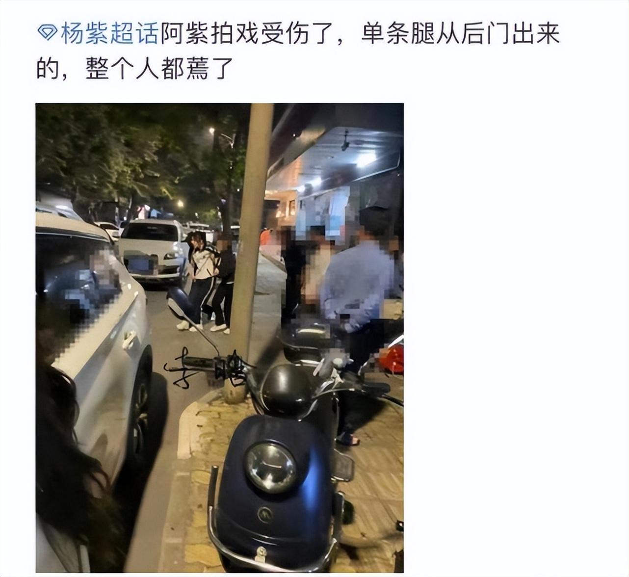 楊紫