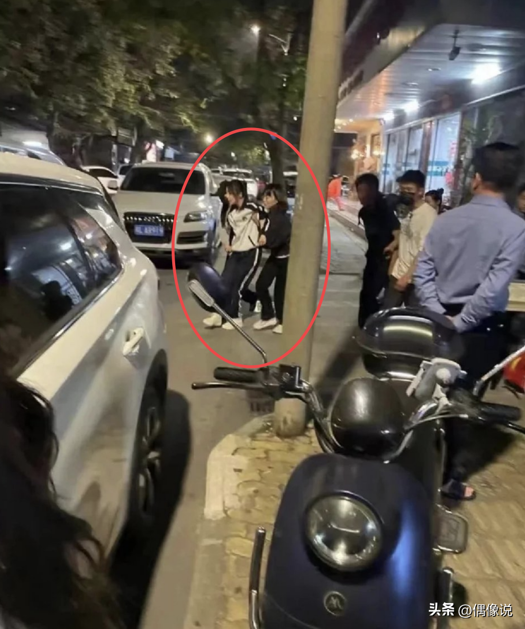 楊紫