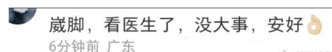 楊紫