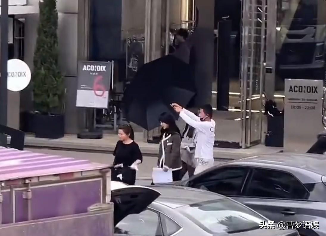 楊紫