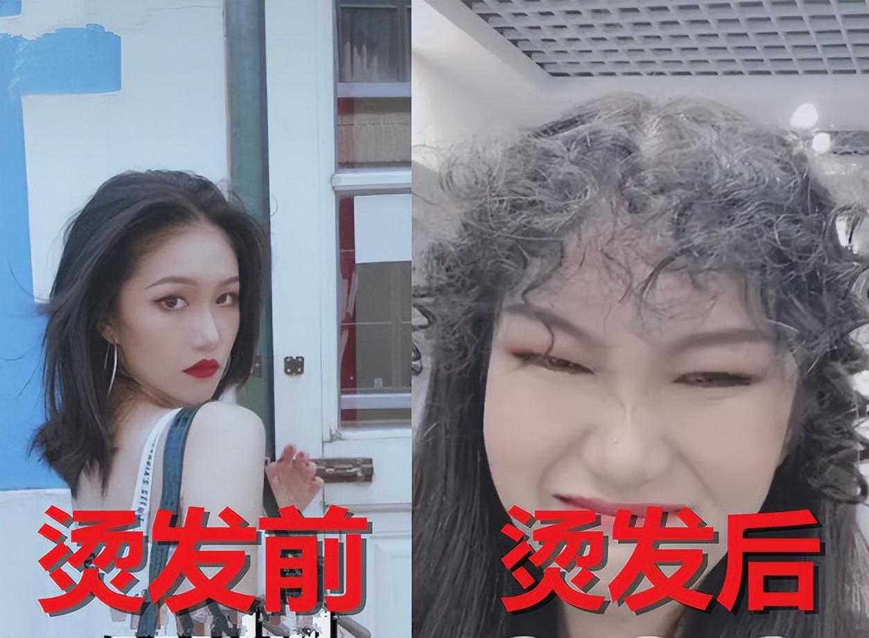 楊紫