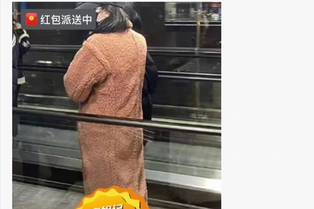 楊紫