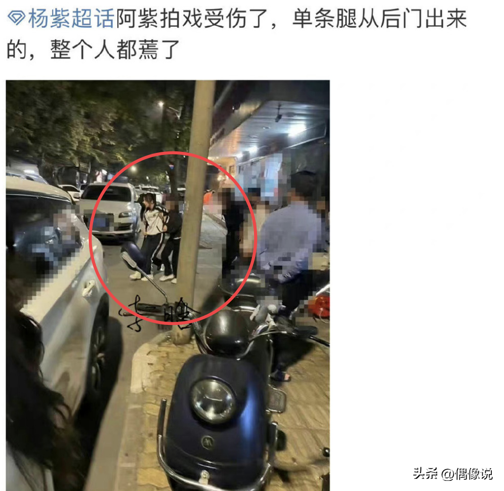 楊紫