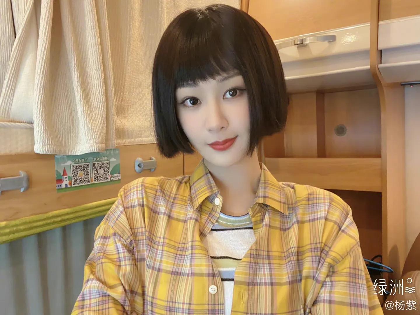 楊紫