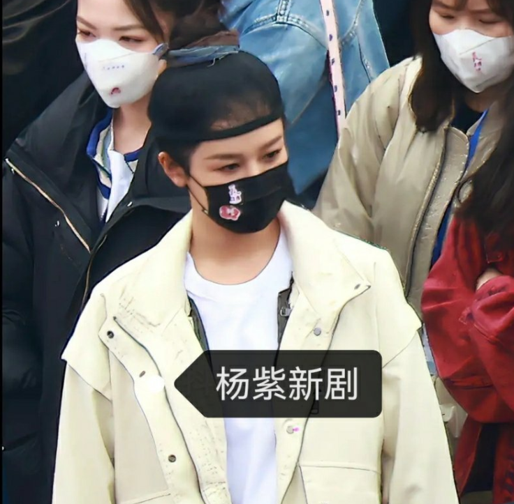 楊紫