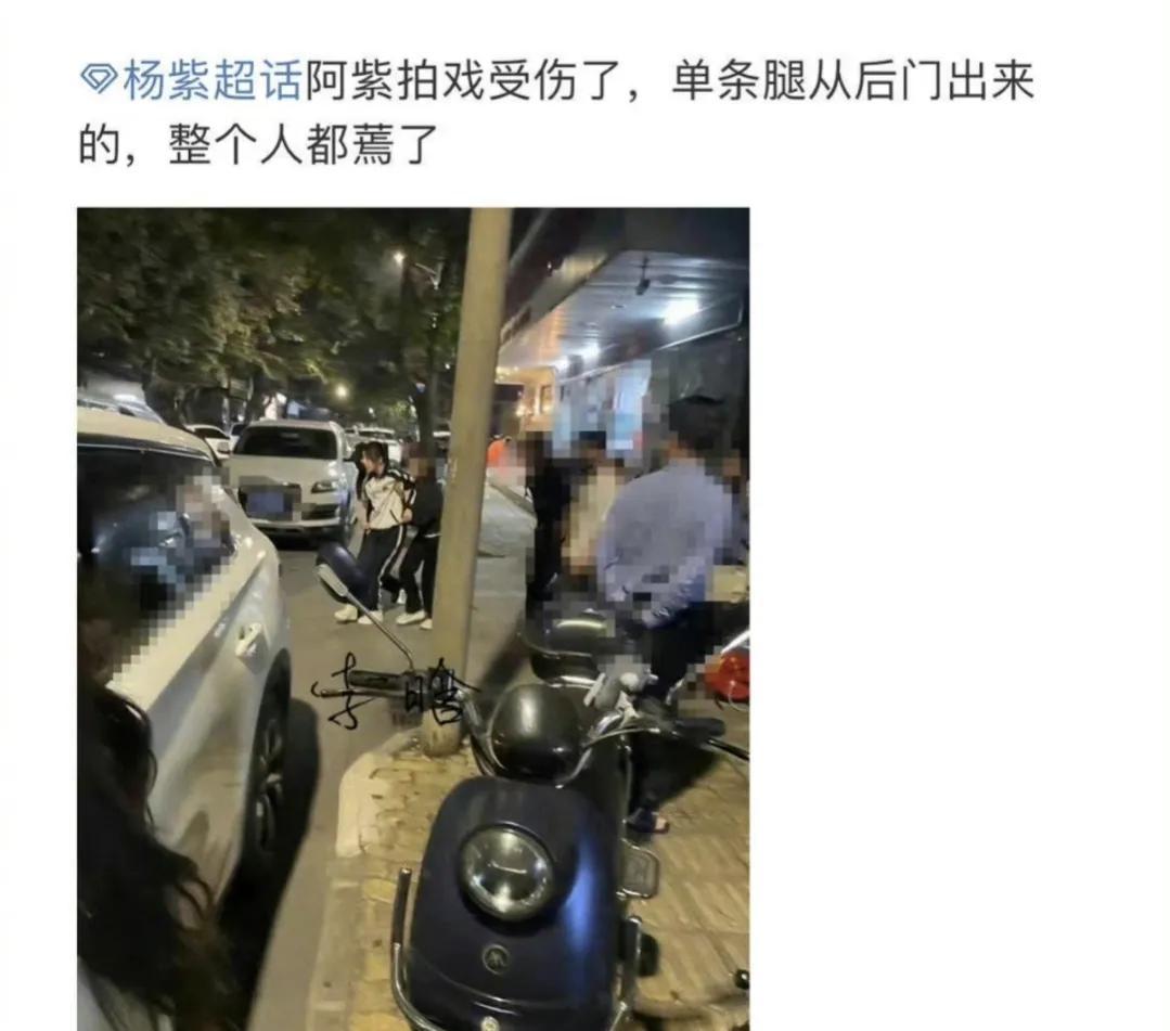 楊紫