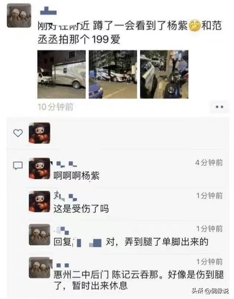 楊紫