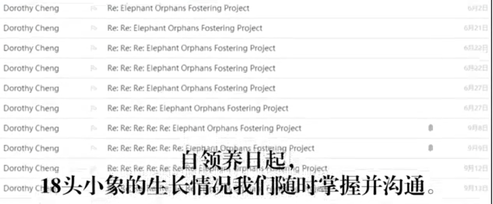 王俊凱