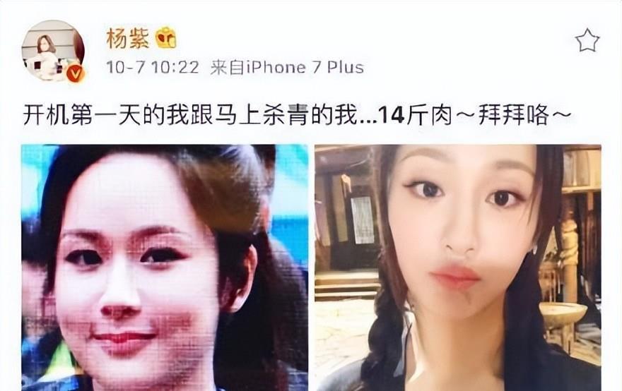 楊紫