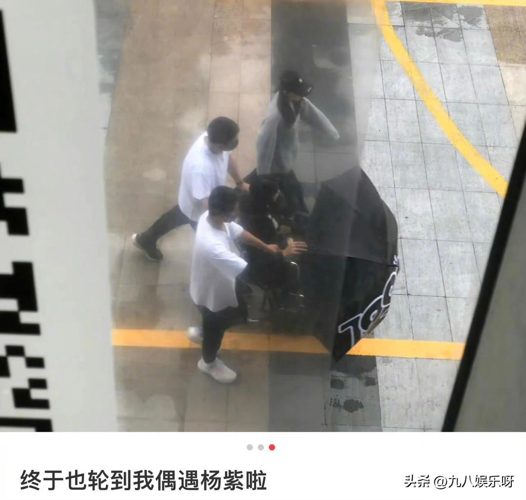楊紫
