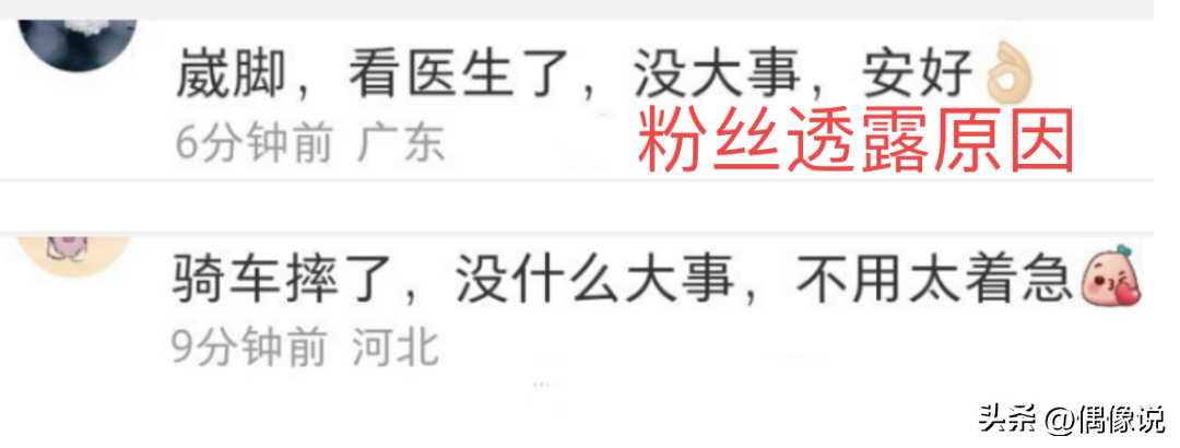楊紫