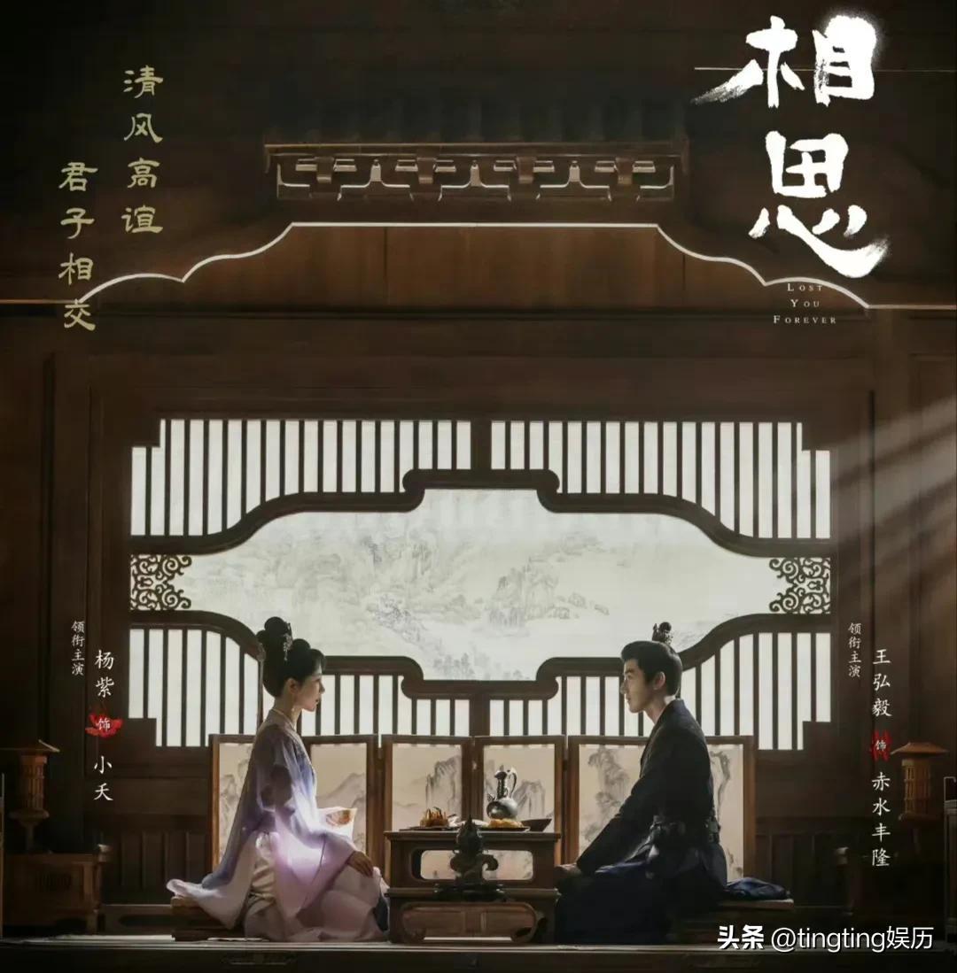 楊紫
