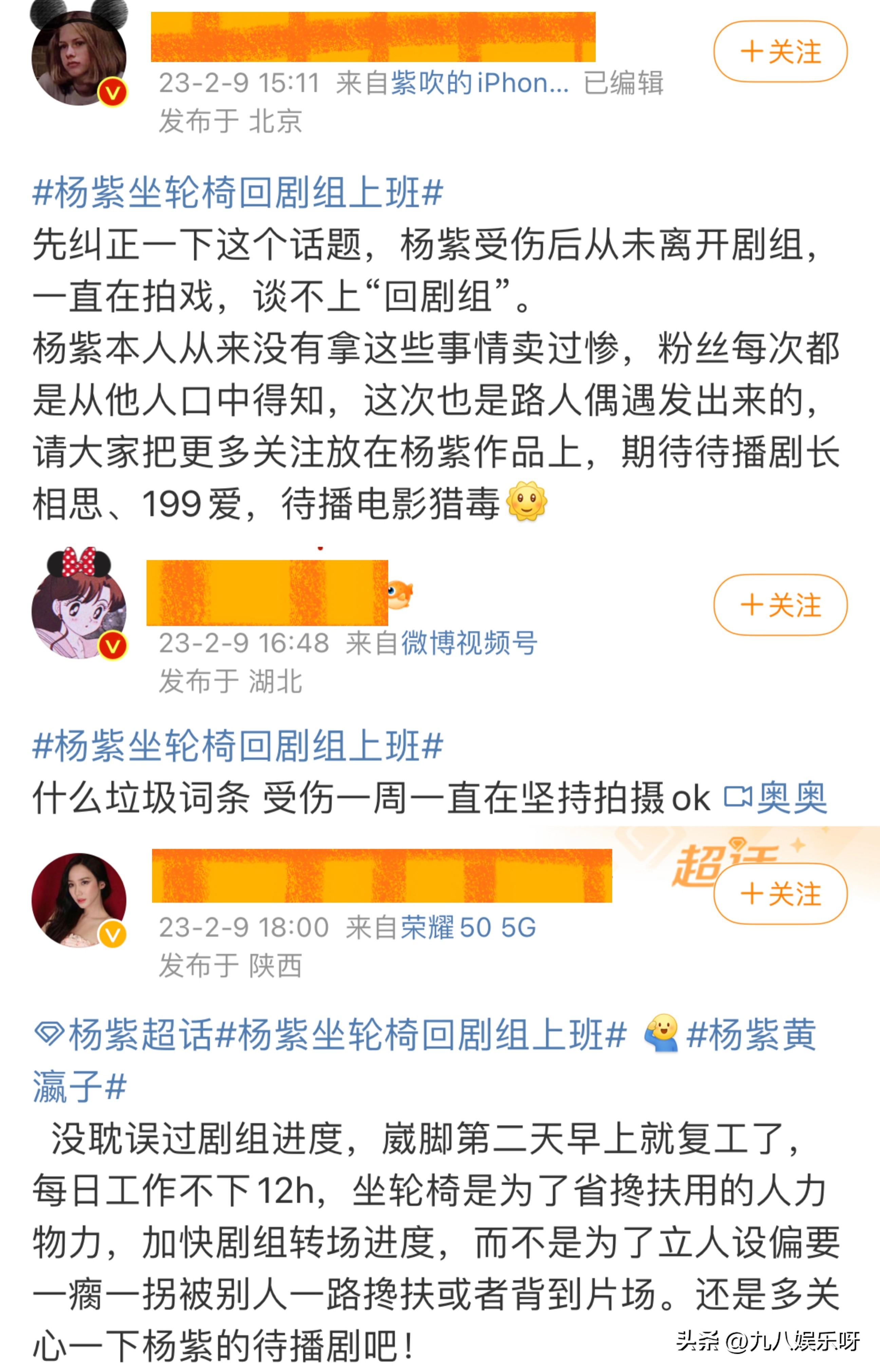 楊紫