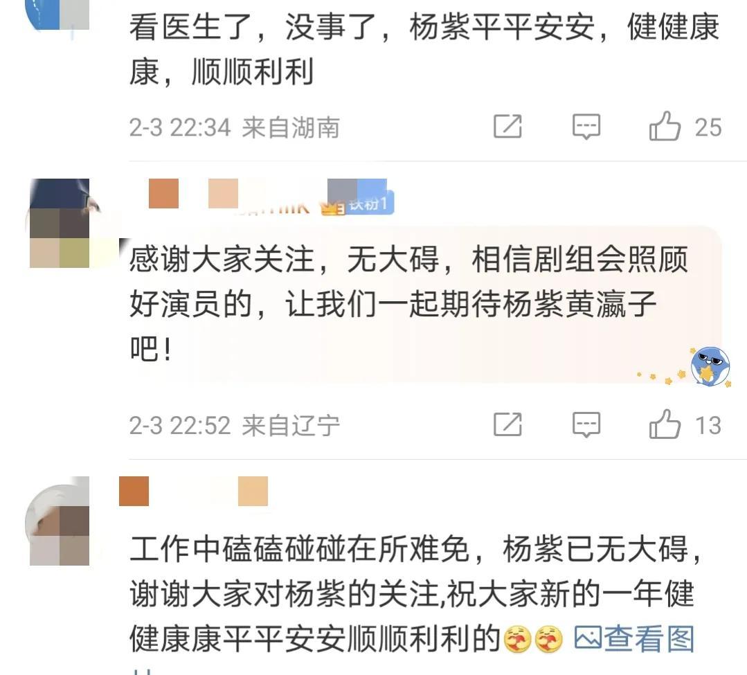 楊紫