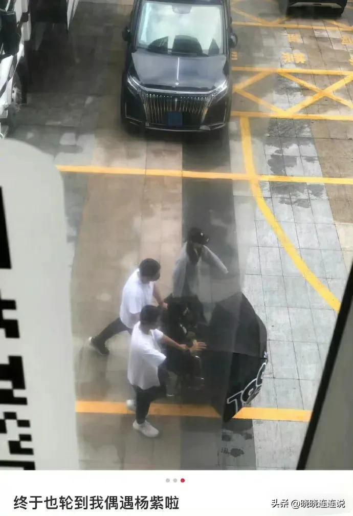 楊紫