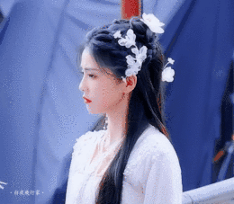 白鹿