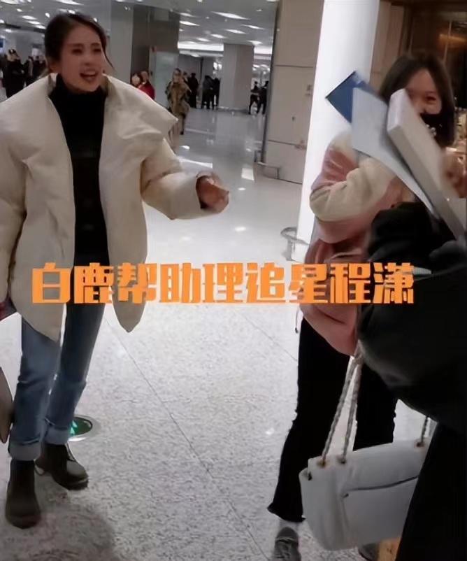 白鹿