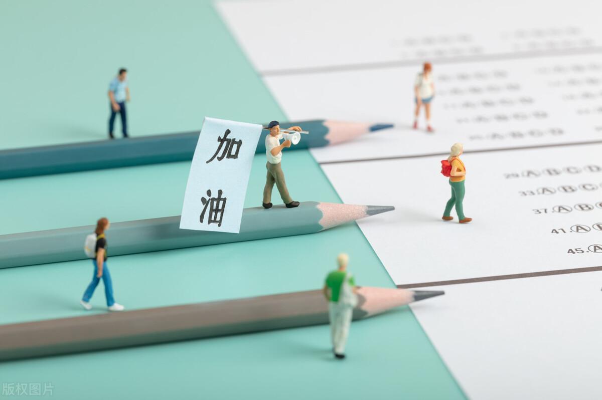 白鹿