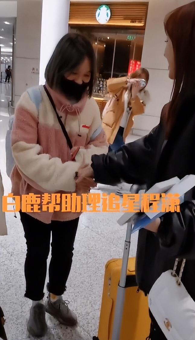 白鹿
