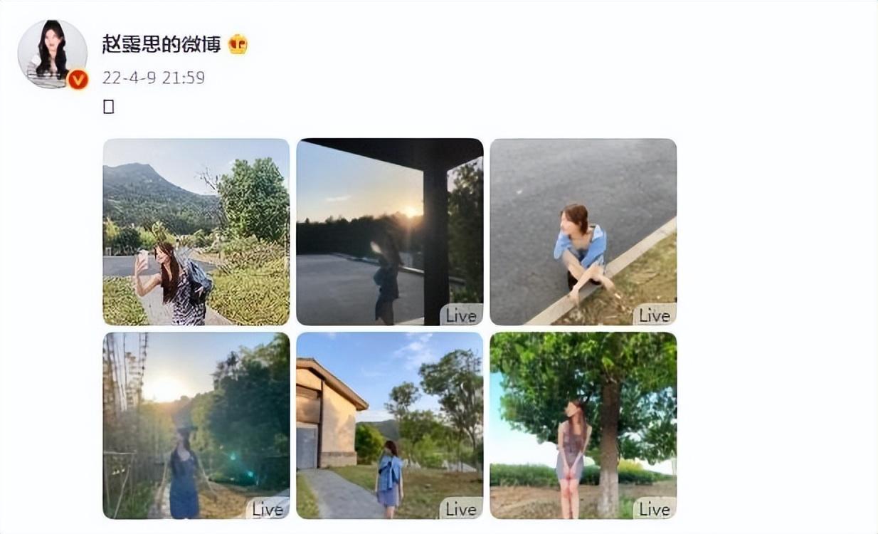 趙露思