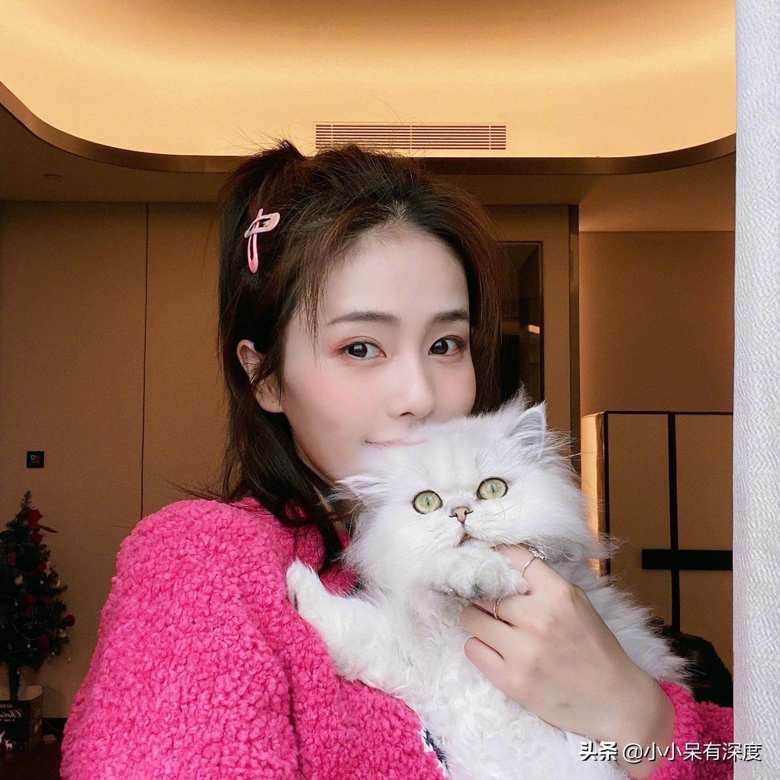 白鹿
