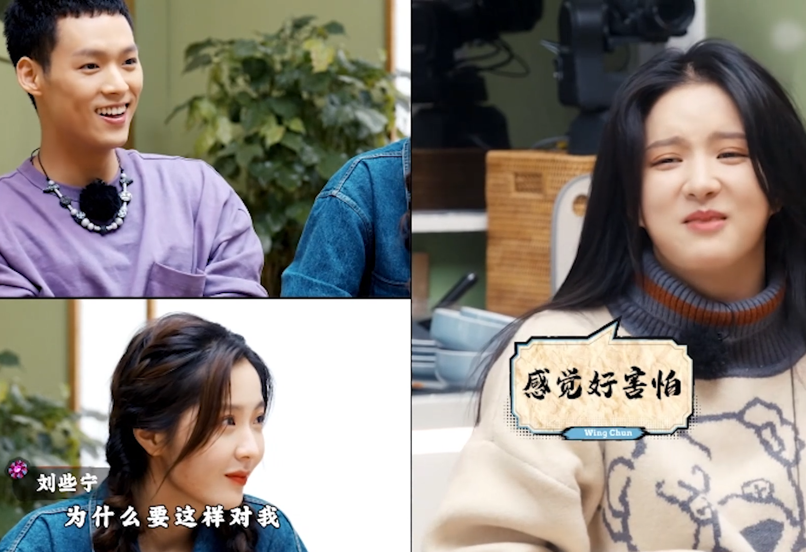 白鹿