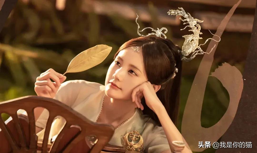 白鹿