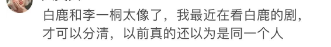 白鹿