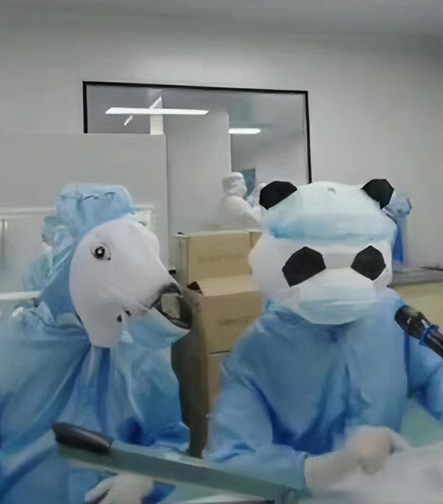 白鹿