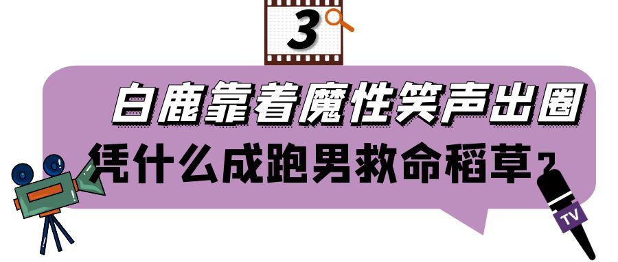白鹿