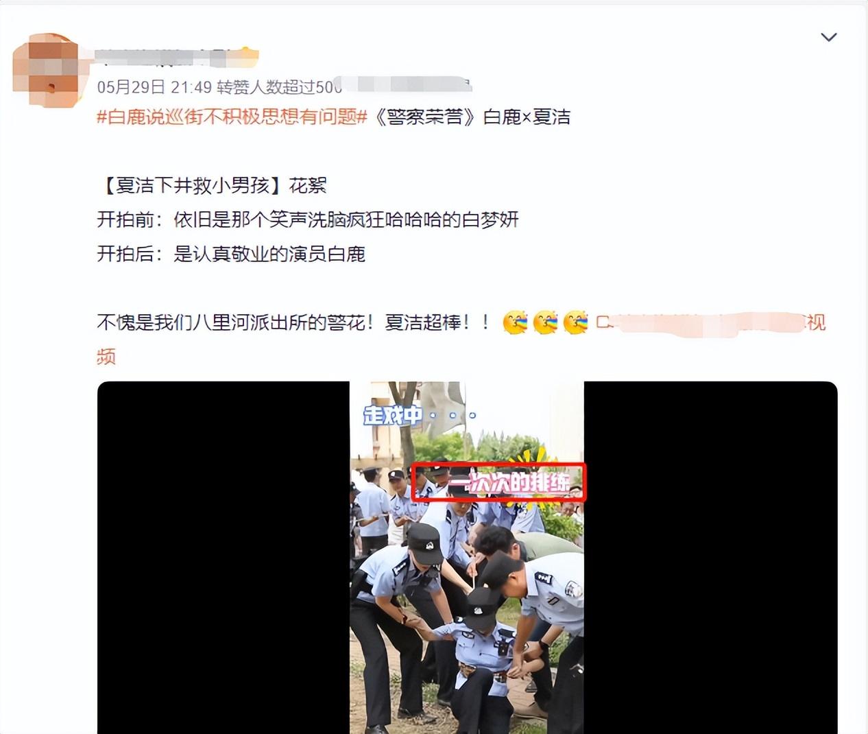 白鹿