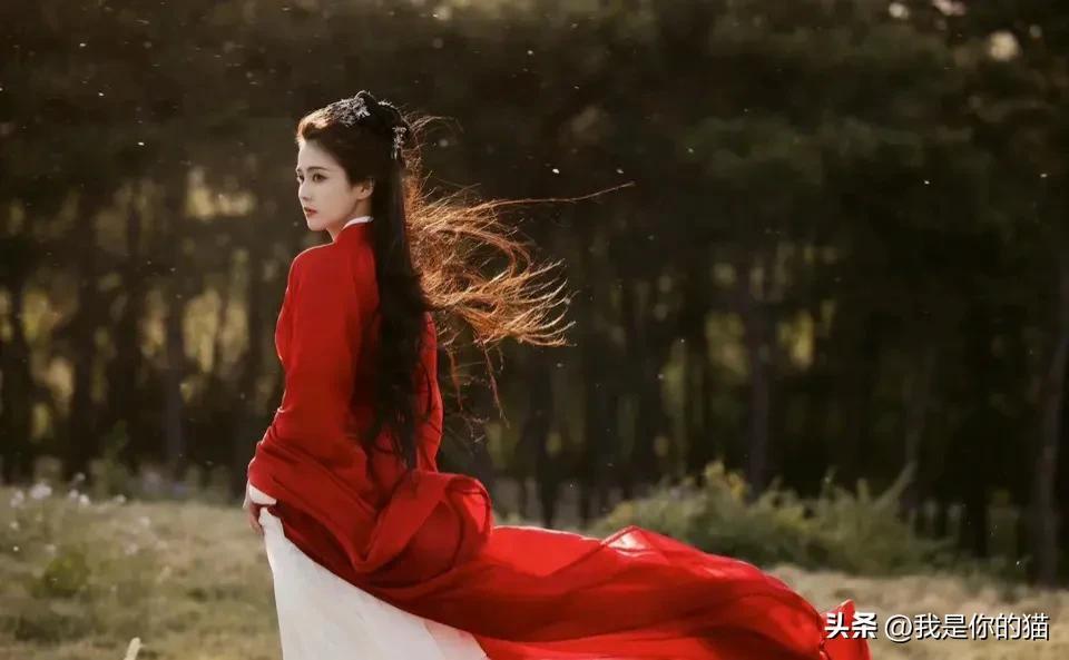 白鹿