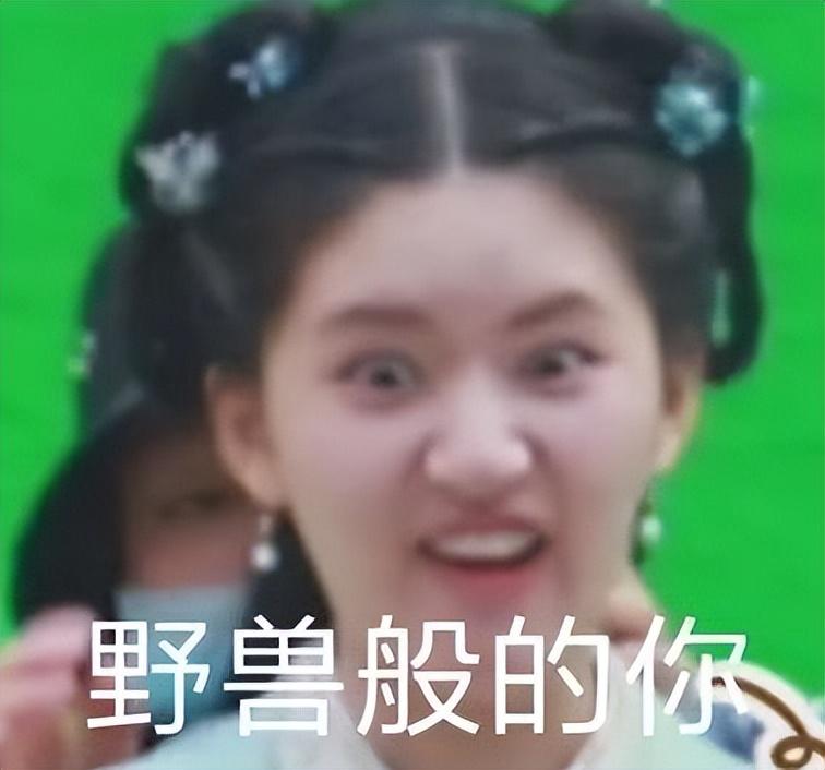 趙露思