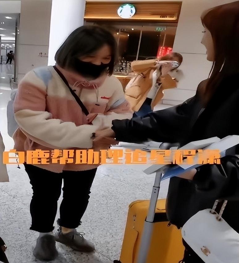 白鹿