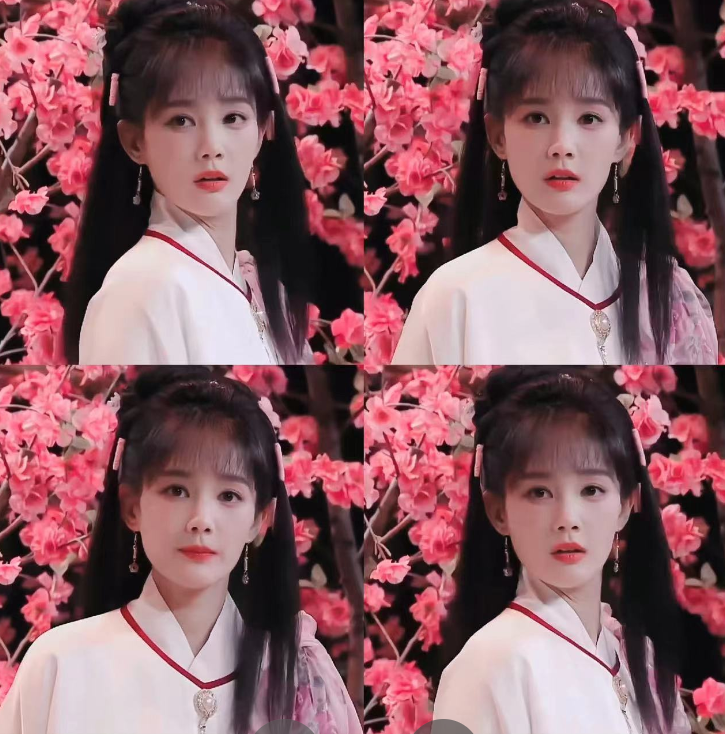 白鹿