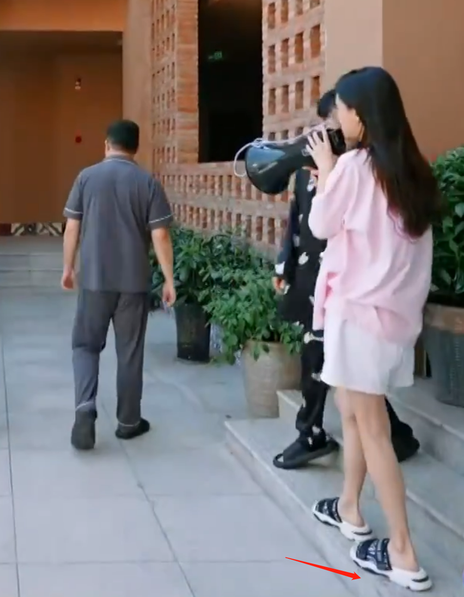 白鹿